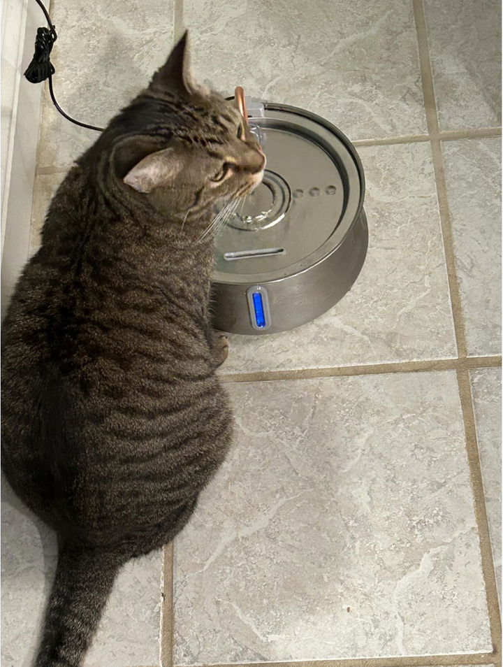 Review by Destinee M.