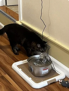 Review by Michelle T.