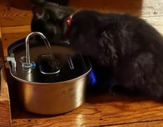 Review by Barbara B.