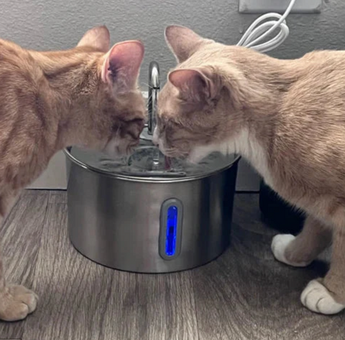 Lovax Replacement Pump